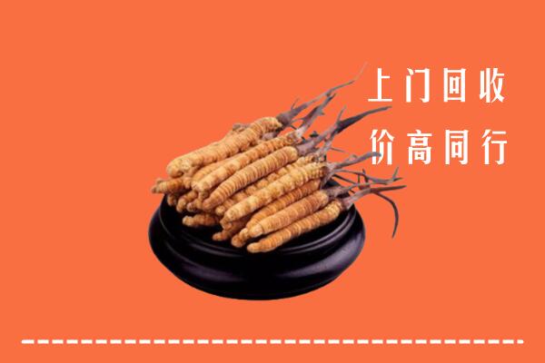 高价求购：晋城沁水回收散虫草