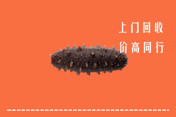 高价求购：晋城沁水回收海参