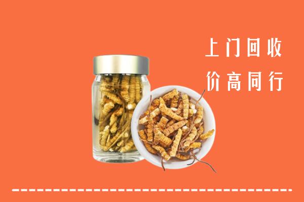 晋城沁水回收冬虫夏草
