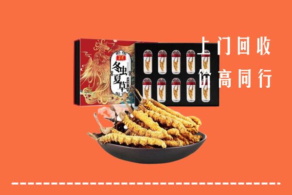 晋城沁水回收虫草